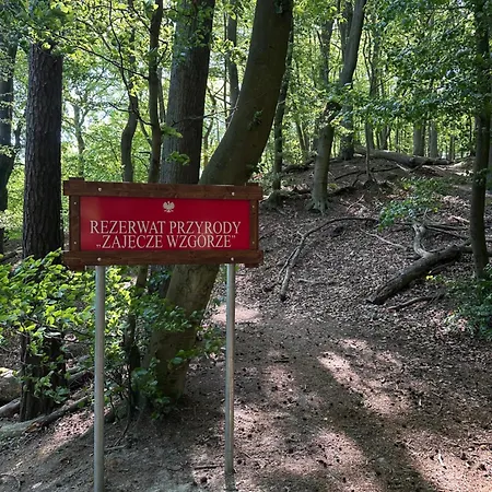 3-pokojowy Z Tarasem W Willi, 95m2 Daire Sopot