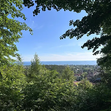 3-pokojowy Z Tarasem W Willi, 95m2 *