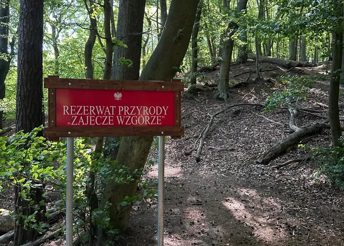 3-pokojowy Z Tarasem W Willi, 95m2 Appartamento Sopot